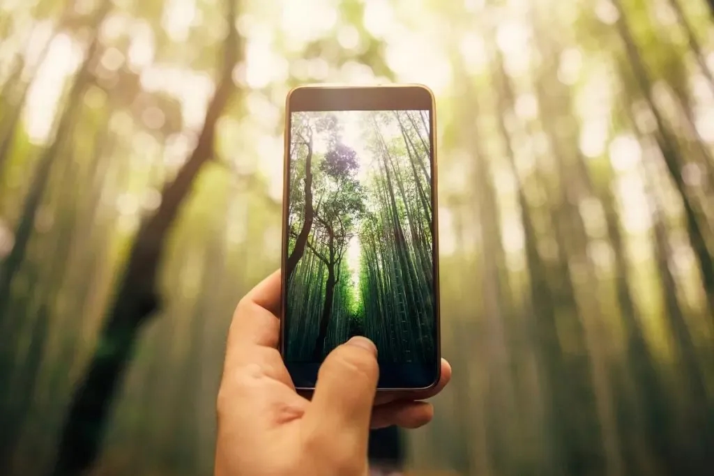 Jaka jest najlepsza rozdzielczość aparatu w telefonie, aby nie żałować?